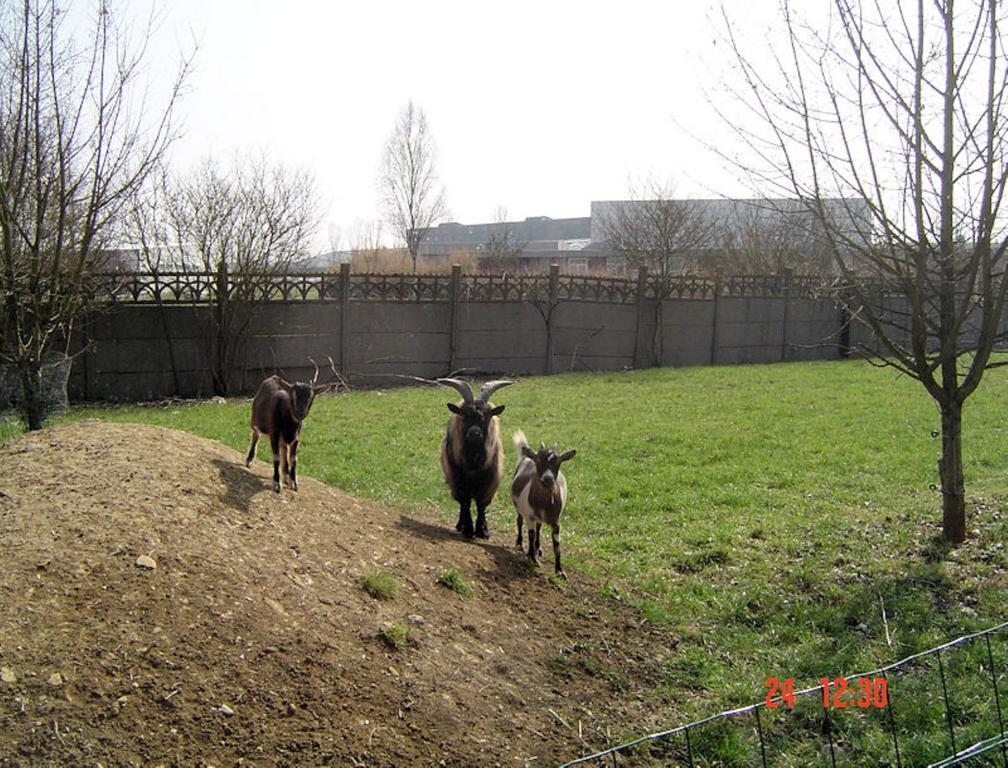 Bed and Breakfast Aux Plumes De Grigy Мец Екстер'єр фото